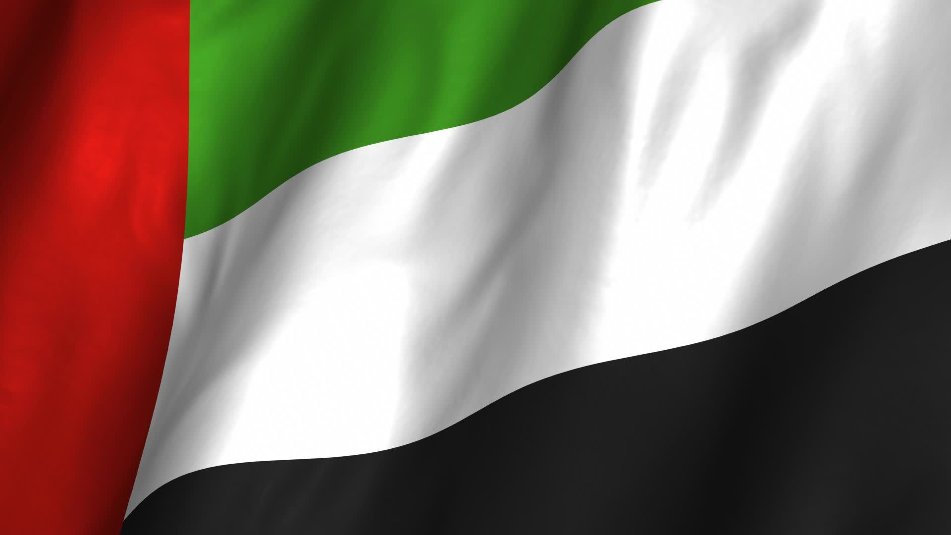 Free download United Arab Emirates Waving Flag Stock Video