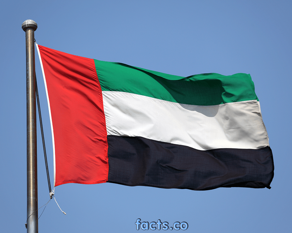 UAE Flag Wallpaper