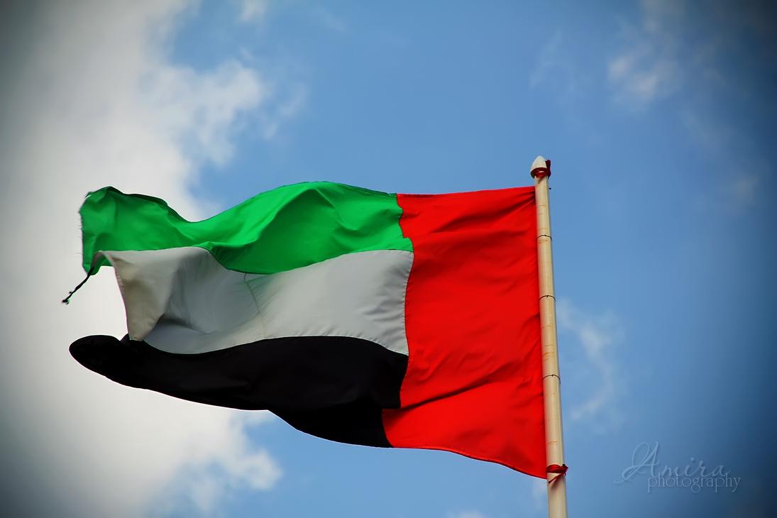 флаг арабские эмираты фото картинки
