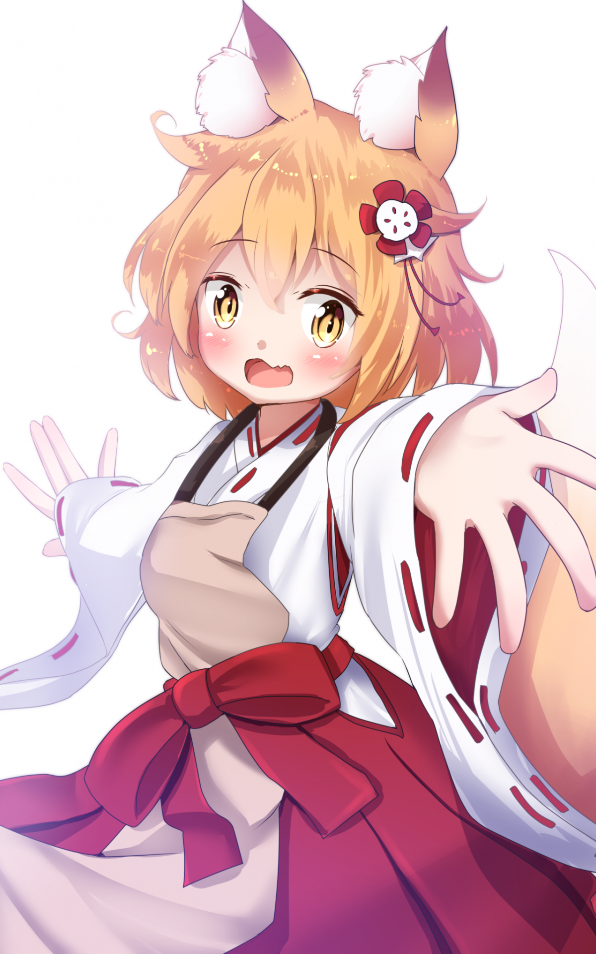 Senko san. Sewayaki Kitsune. Сэнко Сан аниме. Senko Sewayaki Kitsune. 800 Летняя жена сенко.