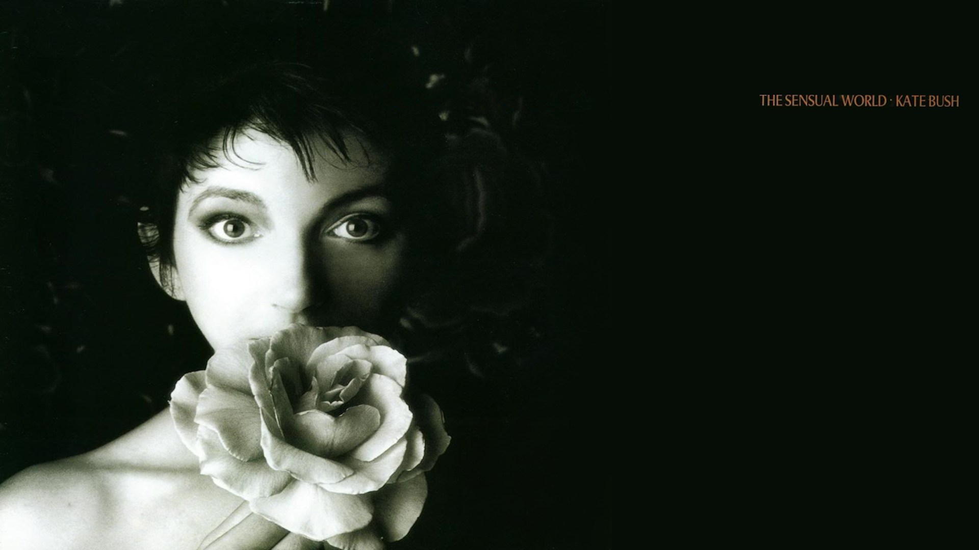 Kate Bush HD Wallpaper
