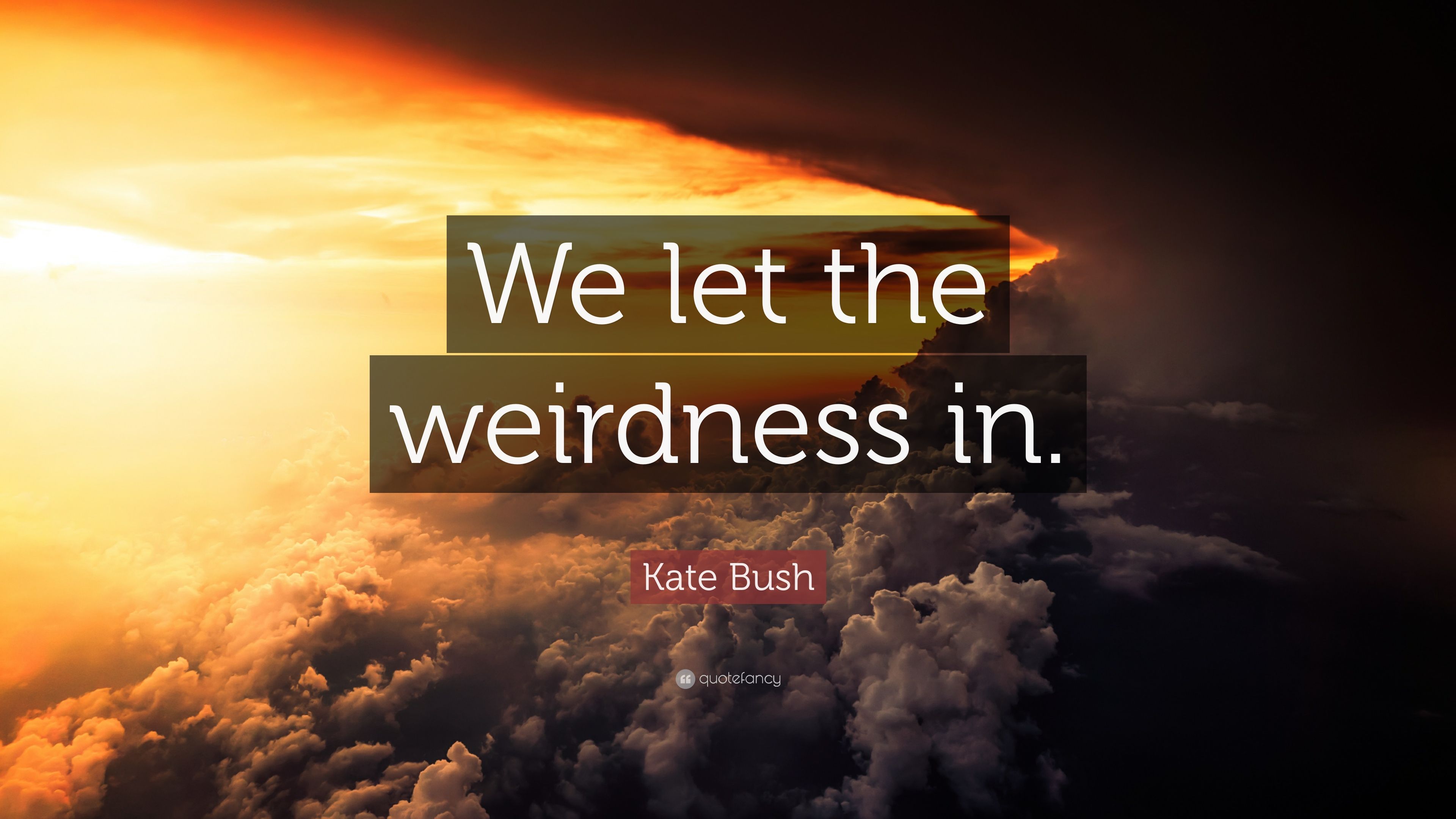 Kate Bush Quote: “We let the weirdness in.” 10 wallpaper