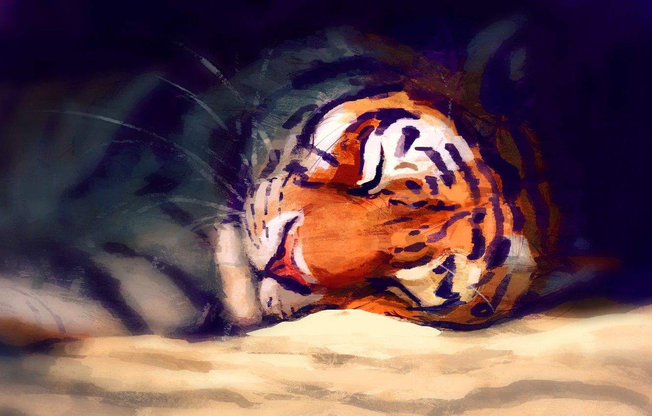 Wallpaper tiger, sleeping, by Meorow image for desktop, section