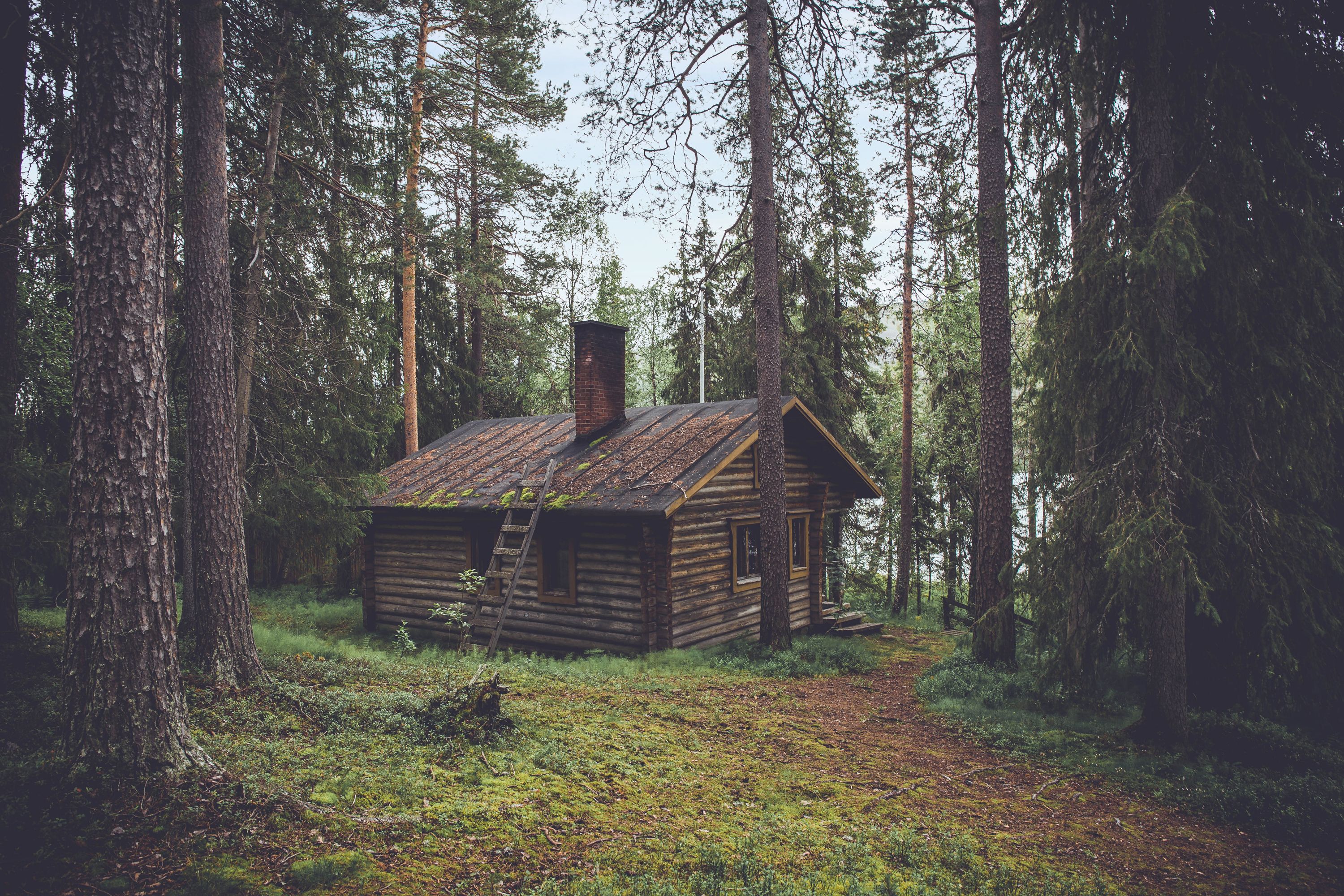 Cabin Picture. Download Free Image