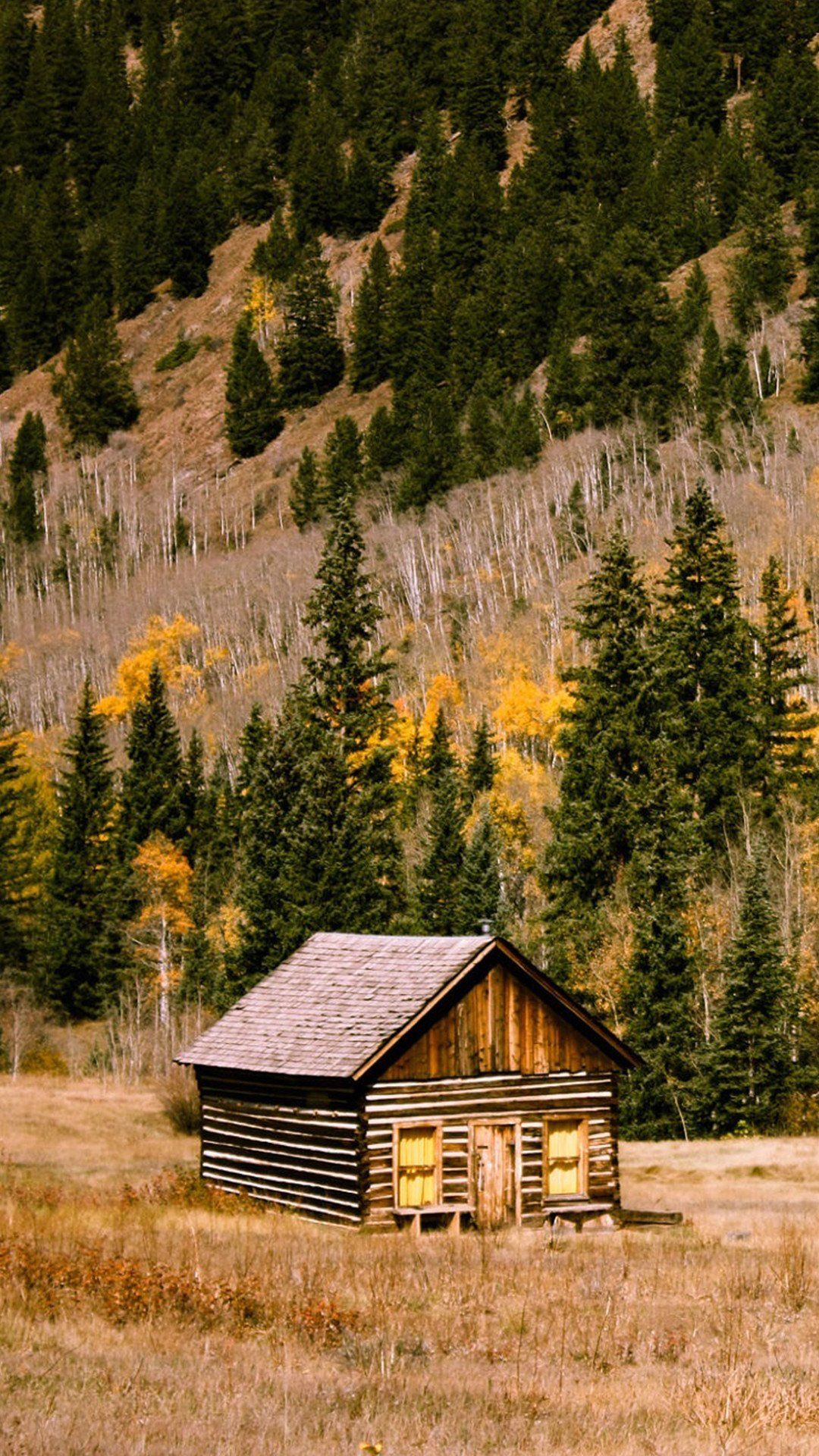 iPhone Wallpaper Forest Cabin