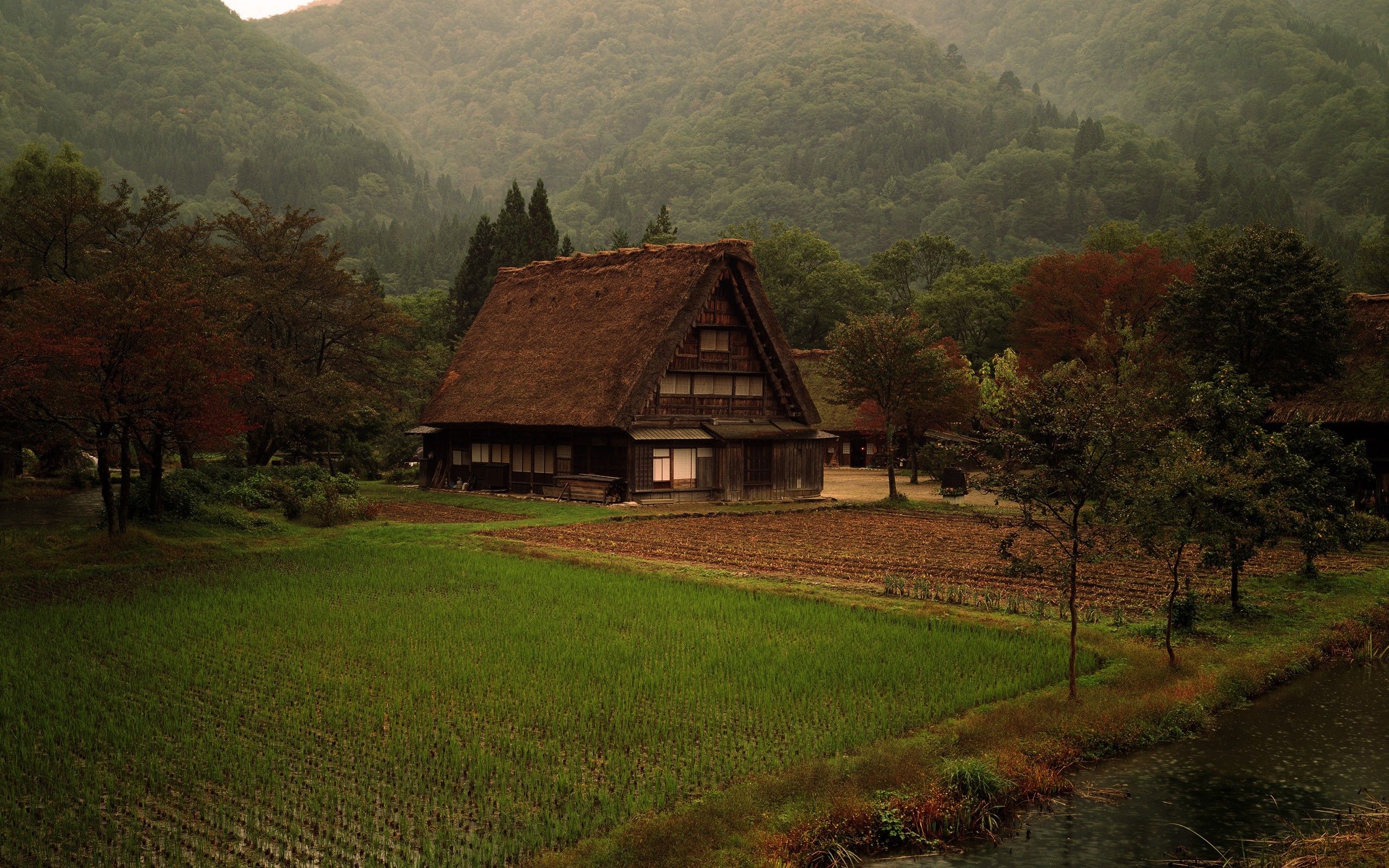 nature, Cabin, Grass, Forest, Japan Wallpaper HD / Desktop