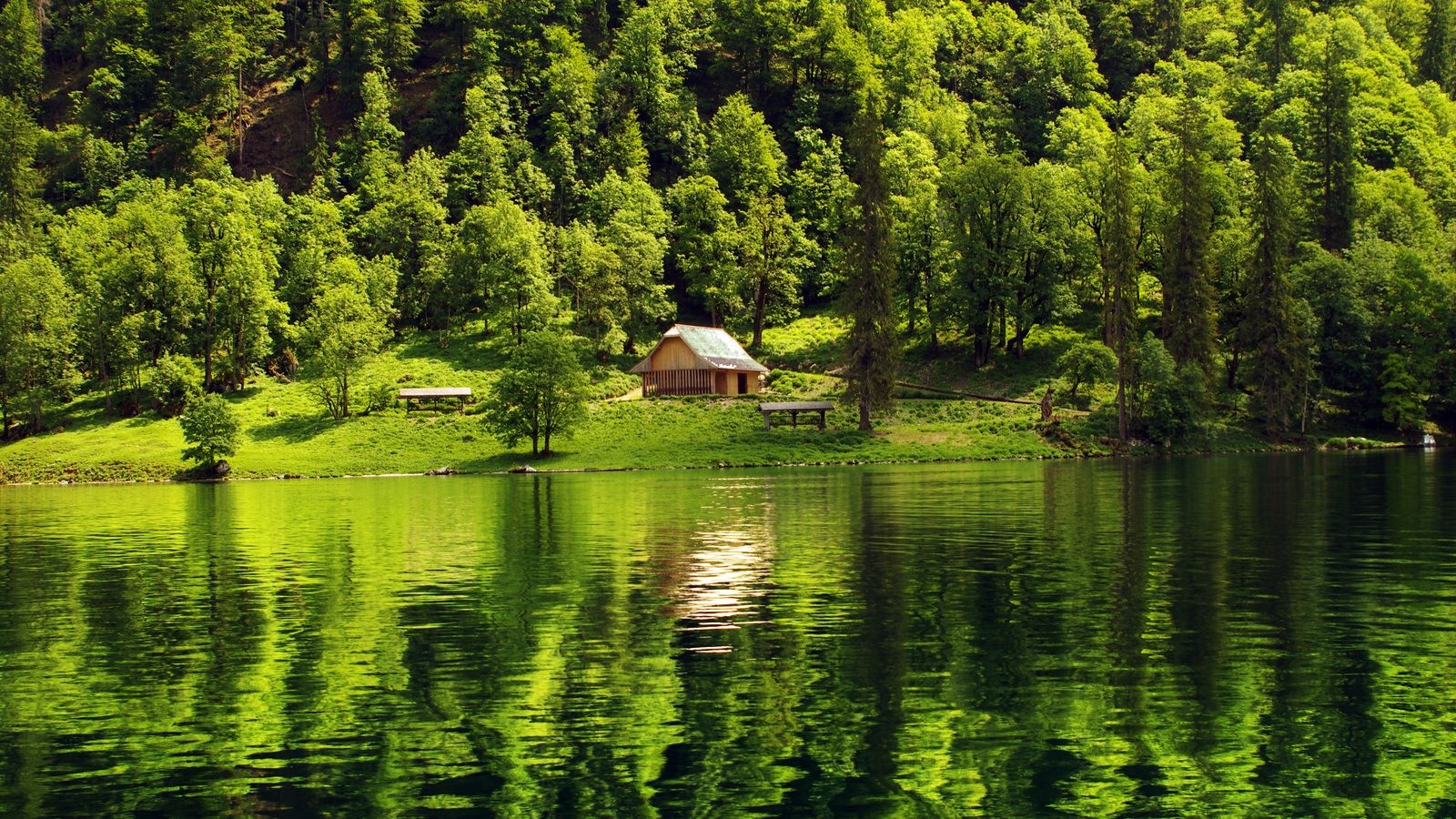 Free download wallpaper forest lake cabin landscape desktop
