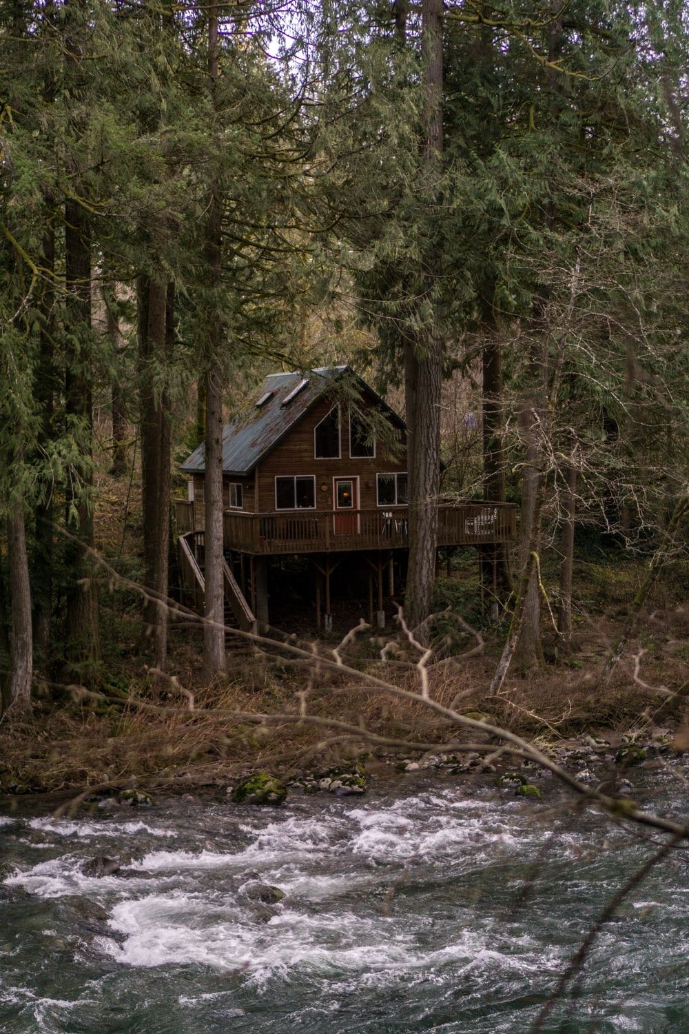 Cabin In Woods Picture. Download Free Image