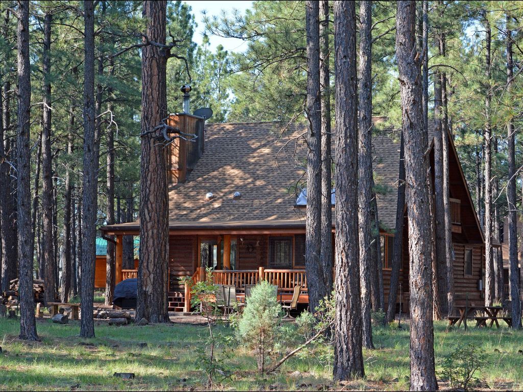 Log Cabin on National Forest, Relaxing, Serene
