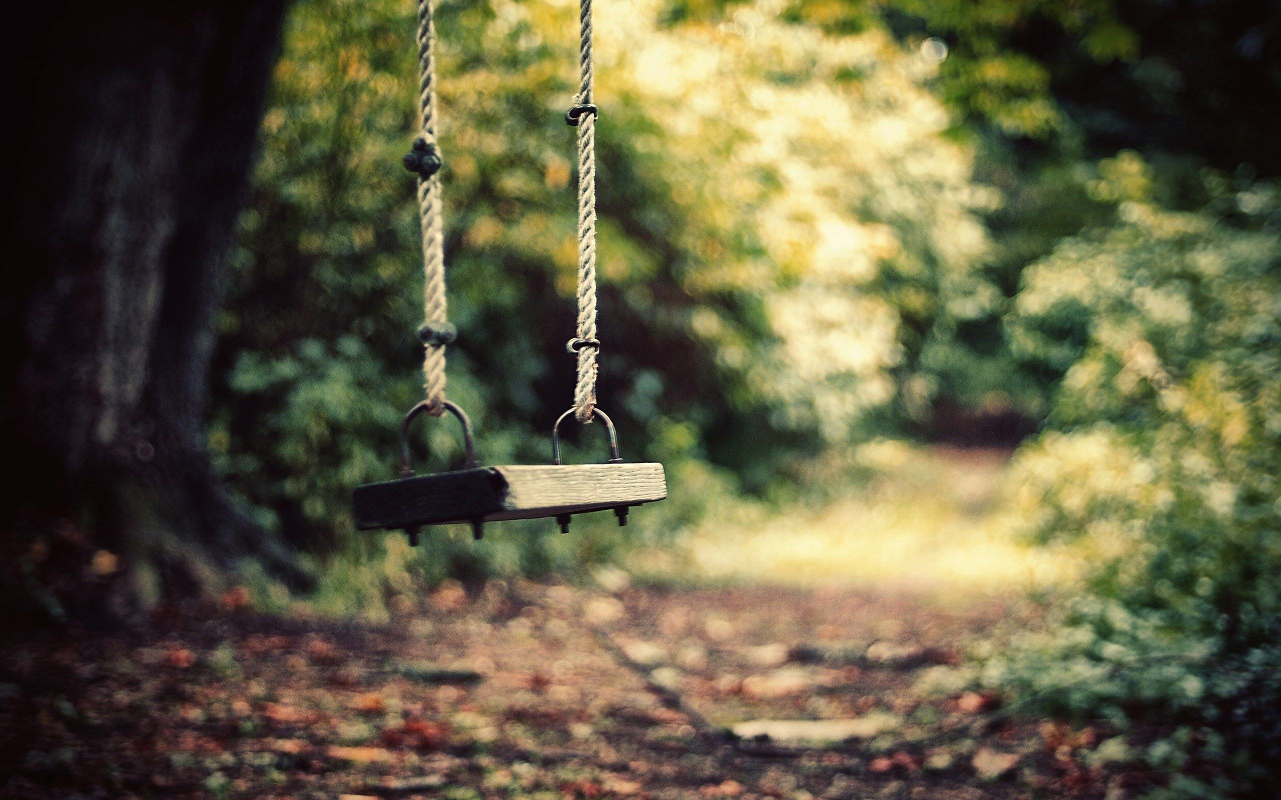 Tree Swing Themed Wallpapers