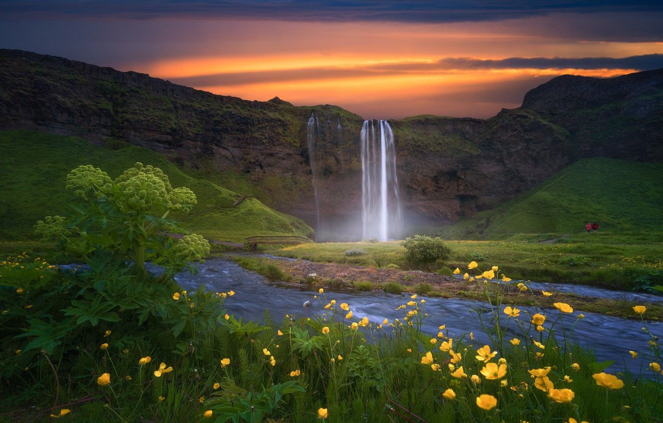 Wallpaper sunset, flowers, waterfall, Iceland image for desktop
