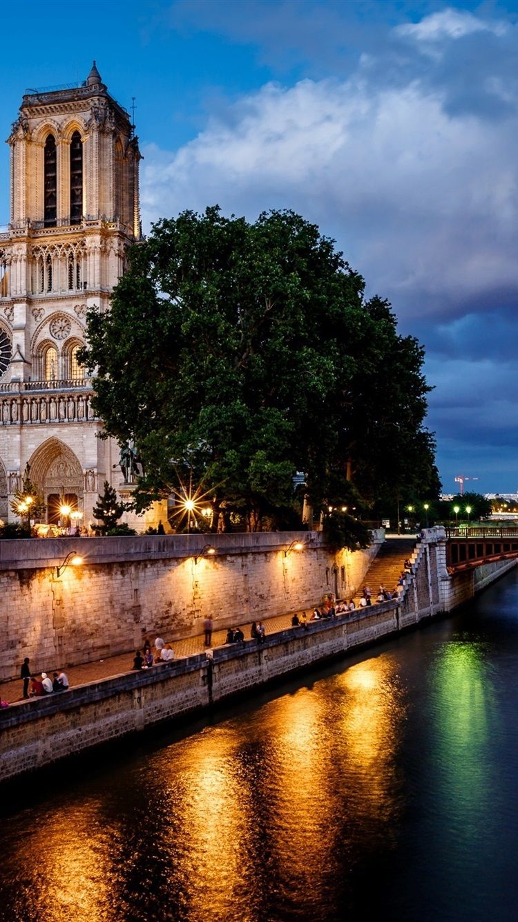 Paris, France, Notre Dame de Paris, city, night, bridge, river