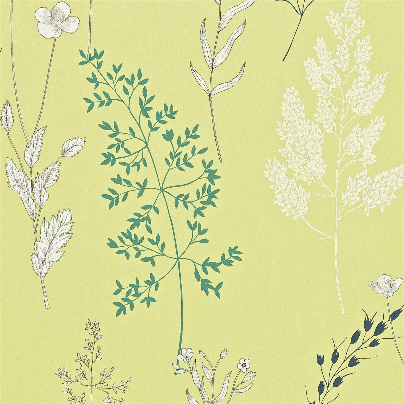 Summer Meadow Madison Wallpaper by Sanderson by the Style Library