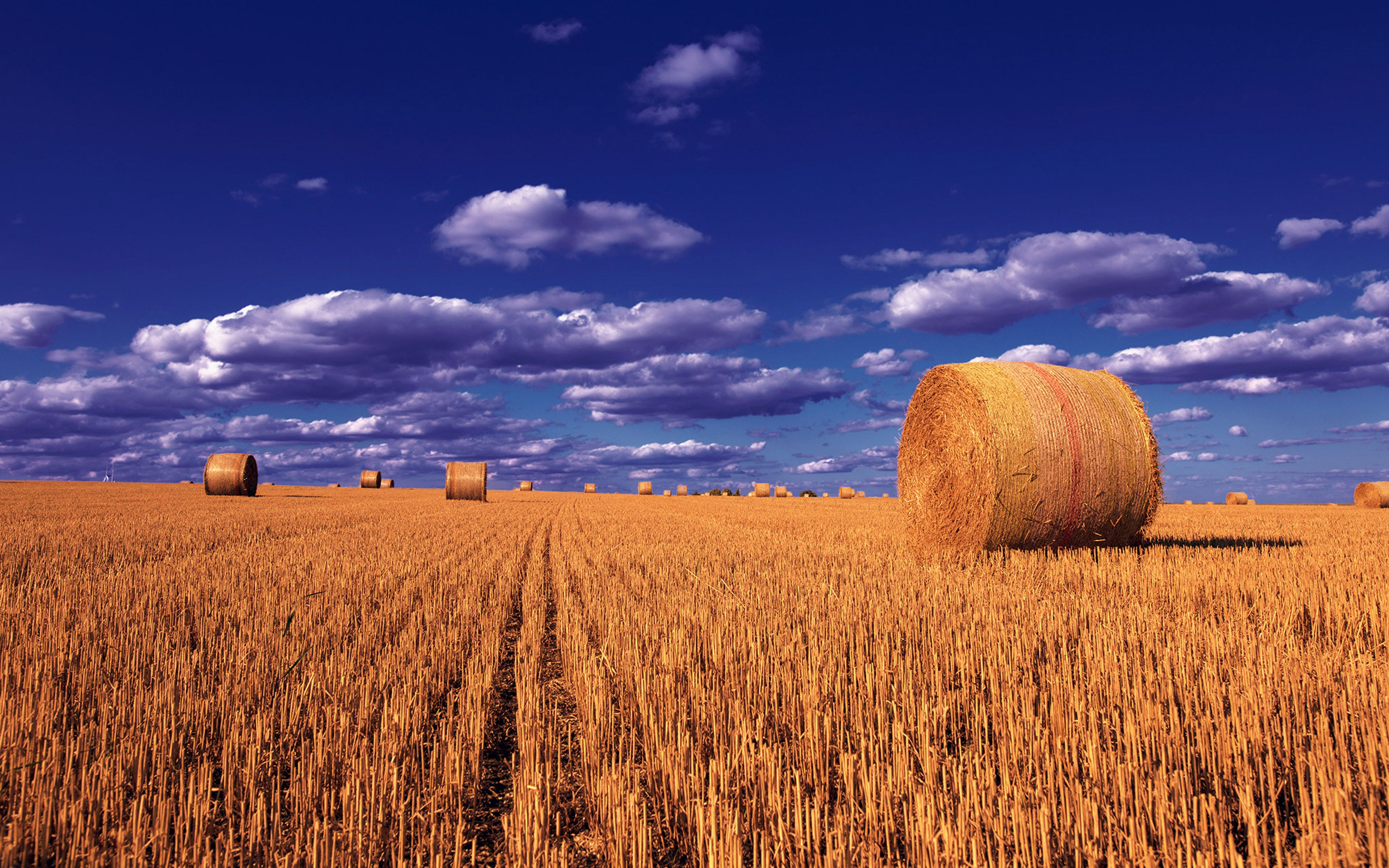 Straw Balls Wheat Field Sky So Clouds Montana Photo Landscape
