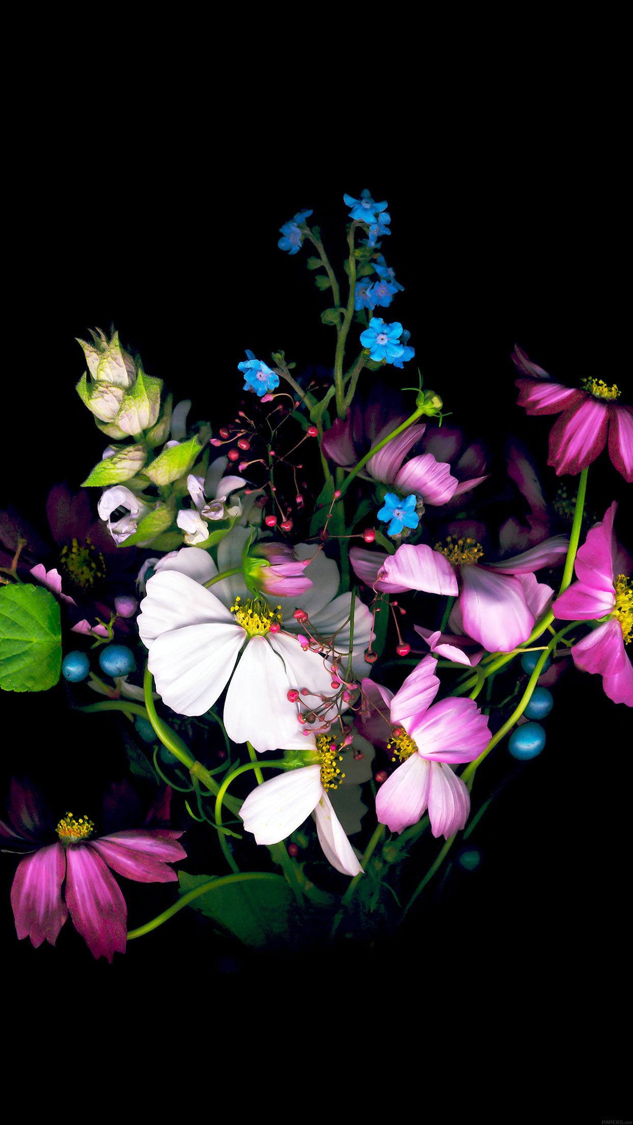 Free download Flower iPhone wallpaper HD floral Photography lockscreen 4k  images [736x1308] for your Desktop, Mobile & Tablet | Explore 51+ 4k  Lockscreen IPhone Wallpapers | iPhone 6 Blueprint Wallpaper Lockscreen,  iPhone