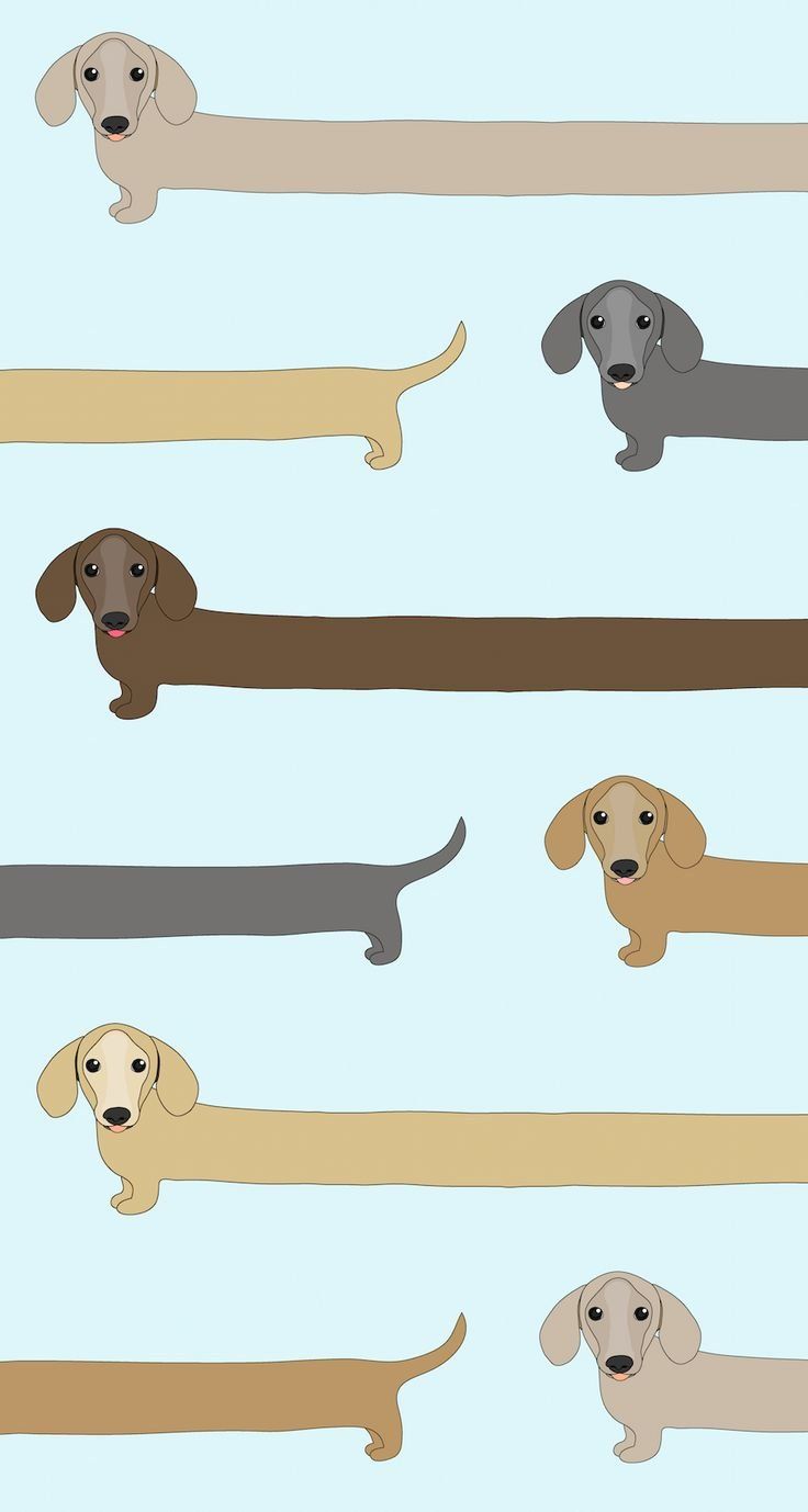 Pastel Cartoon Dog iPhone Wallpaper