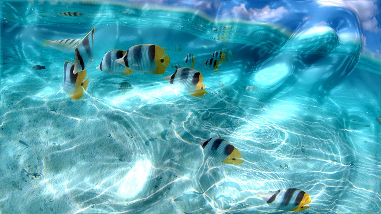 Free download Screensaver Floods your screen with water effects