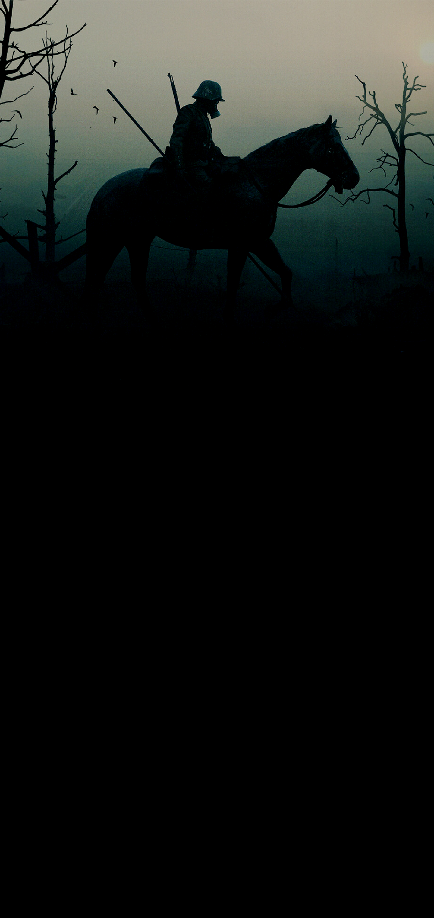 iPhone Wallpaper. Horse, Black, Sky, Atmospheric phenomenon