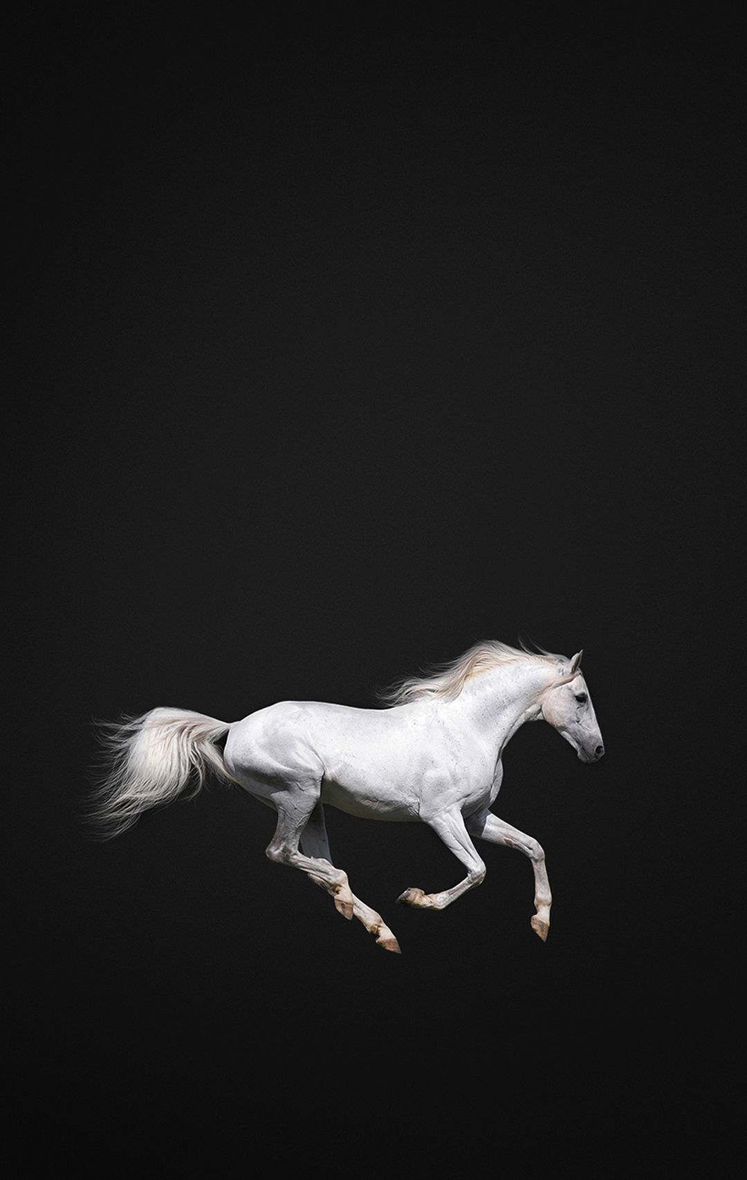 Horses. Horse wallpaper, Horses, iPhone