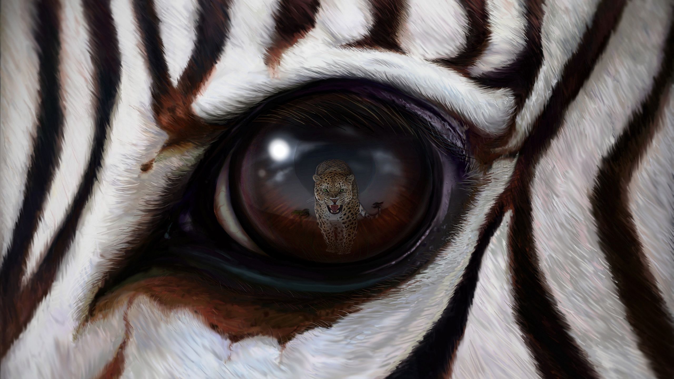 Photos Zebras Leopards Eyes Reflection Animals Closeup 2560x1440