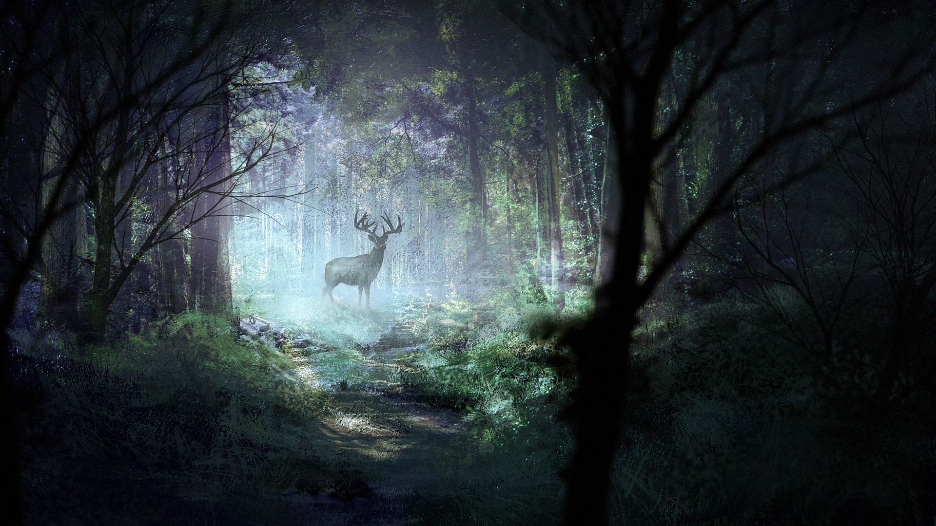 Download wallpaper 1920x1080 deer, forest, light, art, wildlife