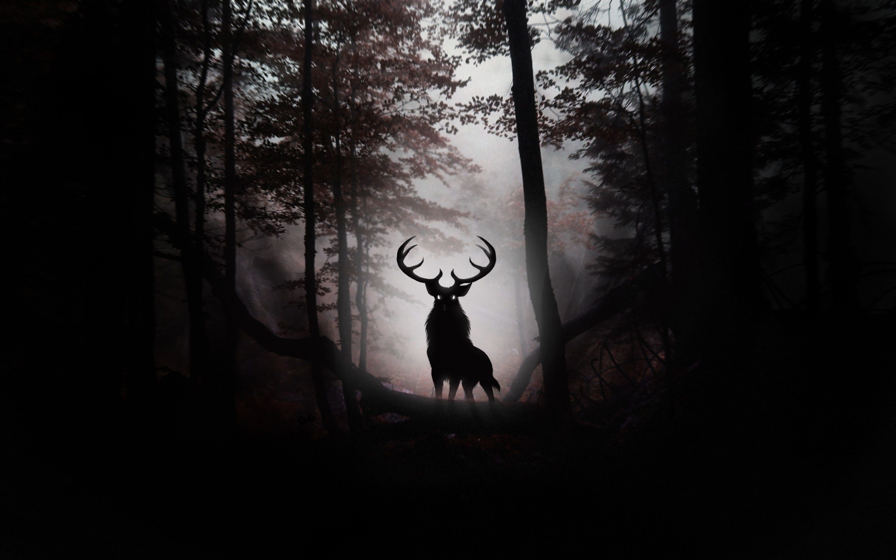 Deer Forest HD Wallpapers - Wallpaper Cave