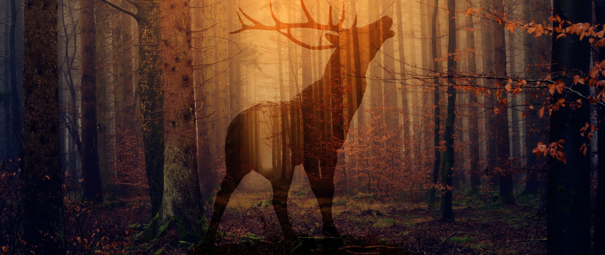 Download wallpaper 2560x1080 deer, forest, fog, silhouette, autumn
