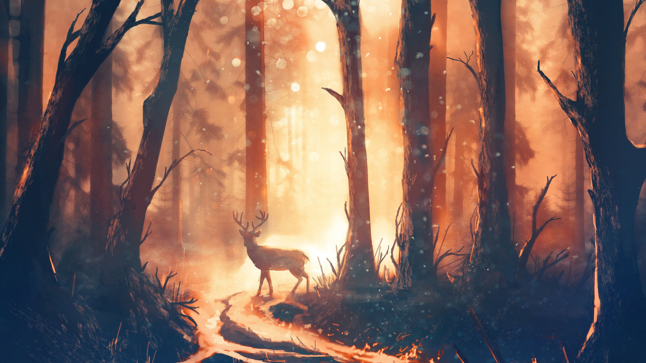 Deer Forest Sunbeams 1440P Resolution HD 4k Wallpaper