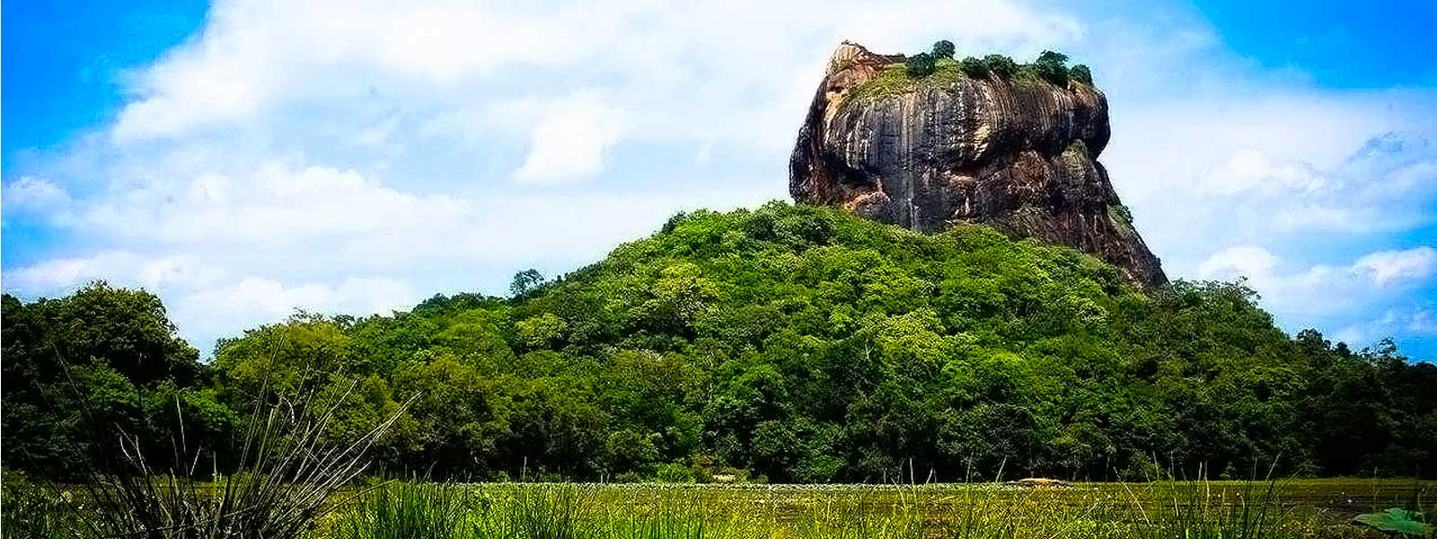 Sri Lanaka Heritage. Chauffeur Tourist Guide Lecturer Lanka