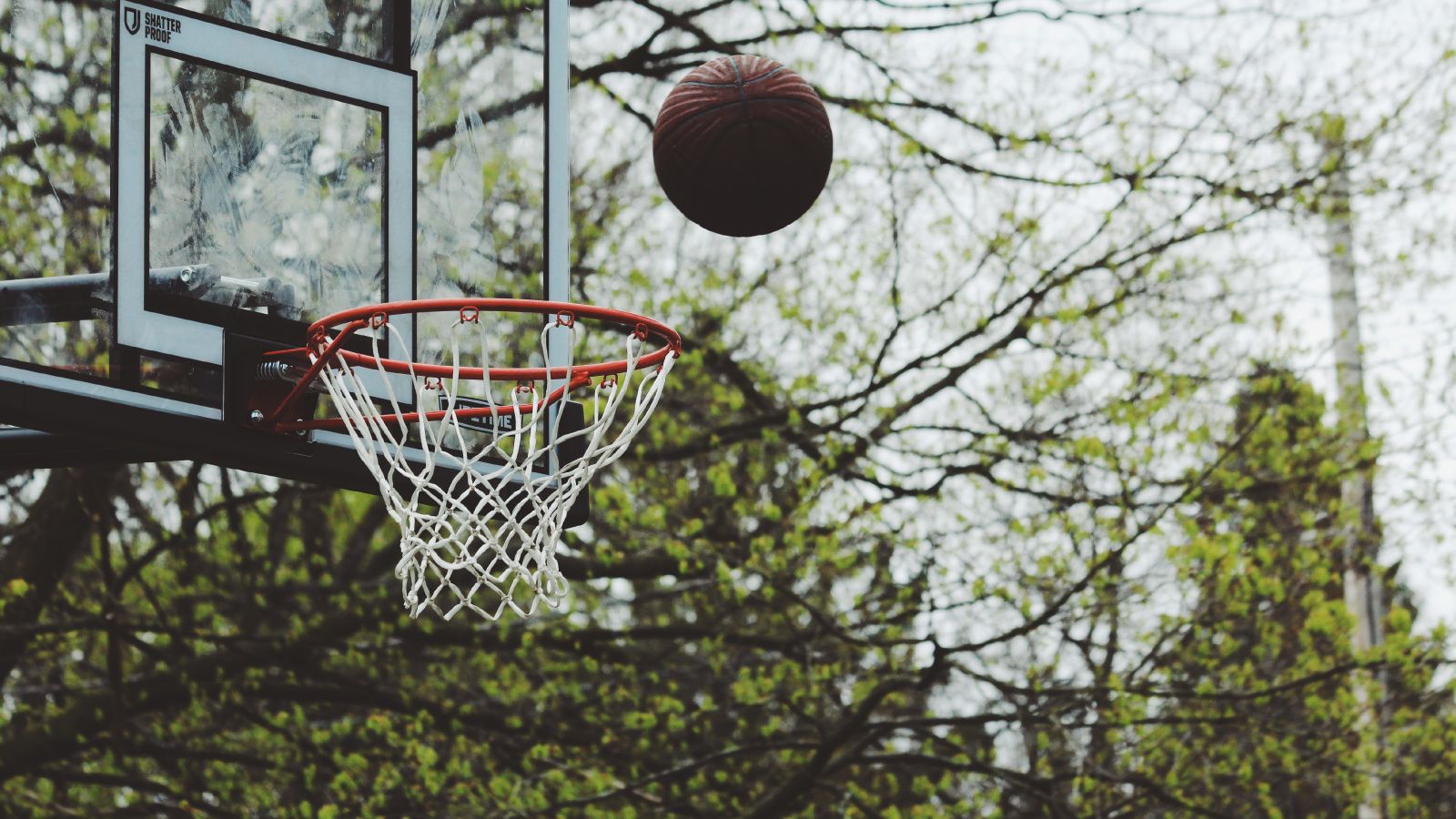Ball, Streetball, Basketball Moves, Tree, Basketball