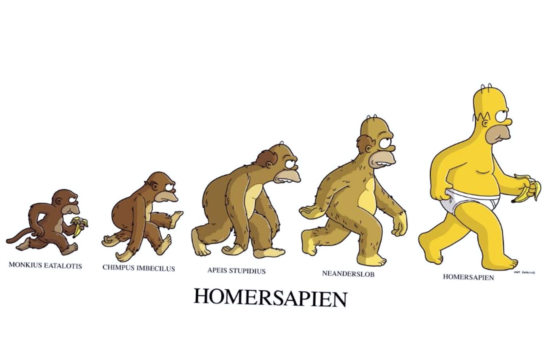 Funny Human Evolution Simpson Wallpaper HD / Desktop and Mobile