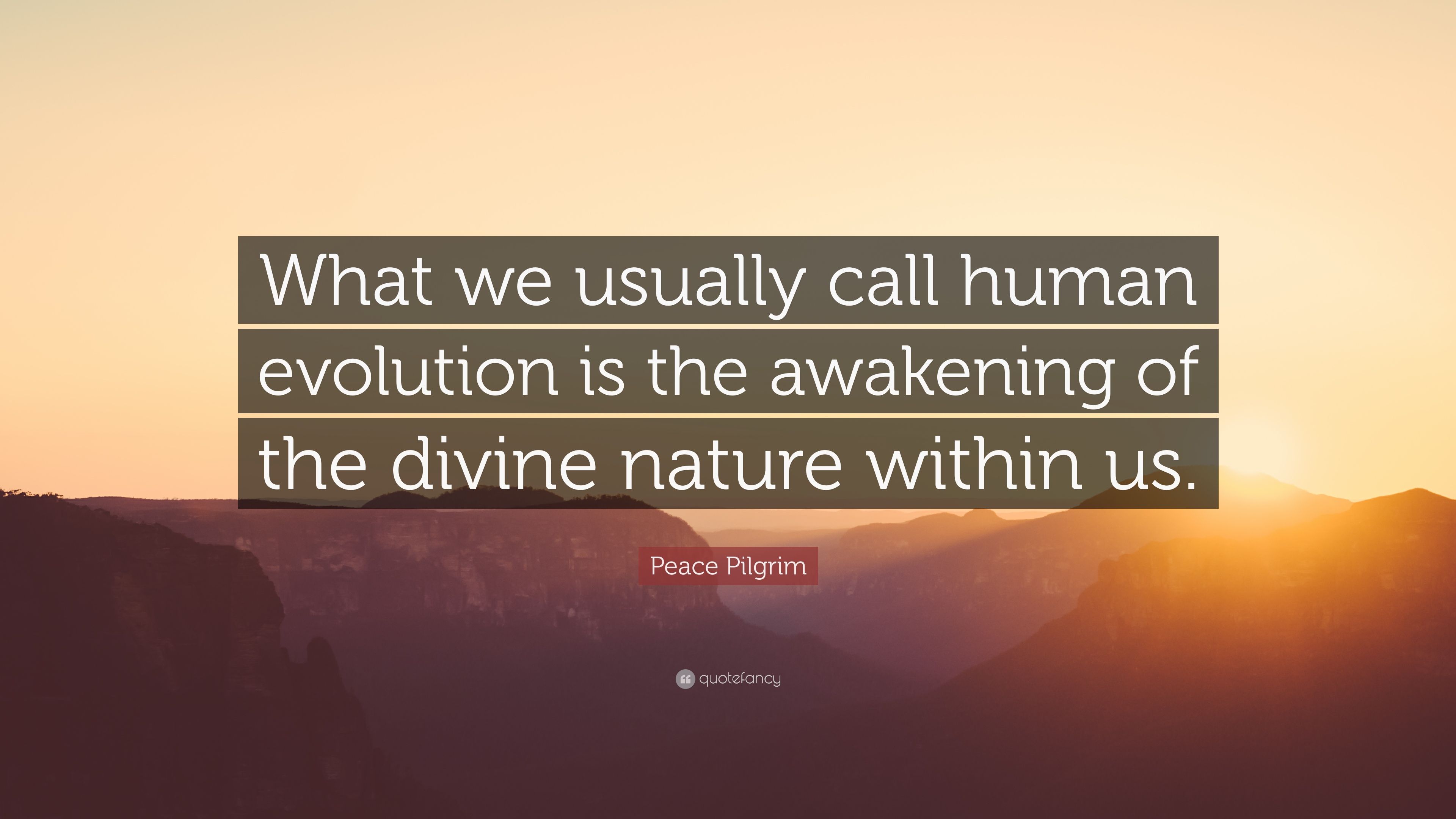 Peace Pilgrim Quote: “What we usually call human evolution is