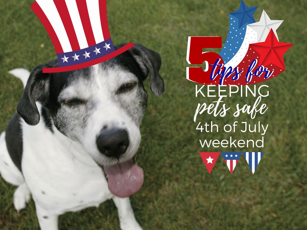 4th Of July Puppies Wallpapers - Wallpaper Cave