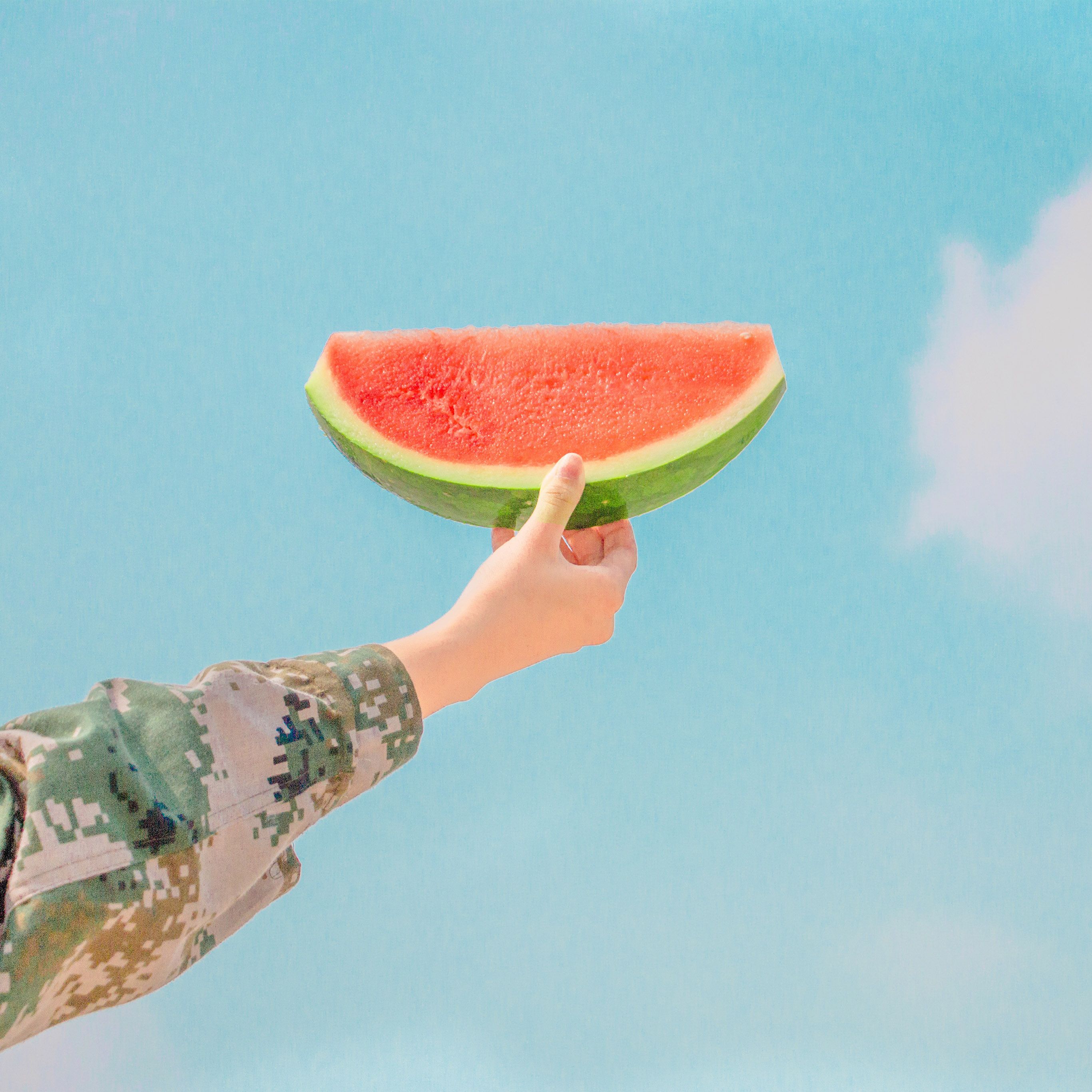 Watermelon Summer Food Fruit Happy Wallpaper