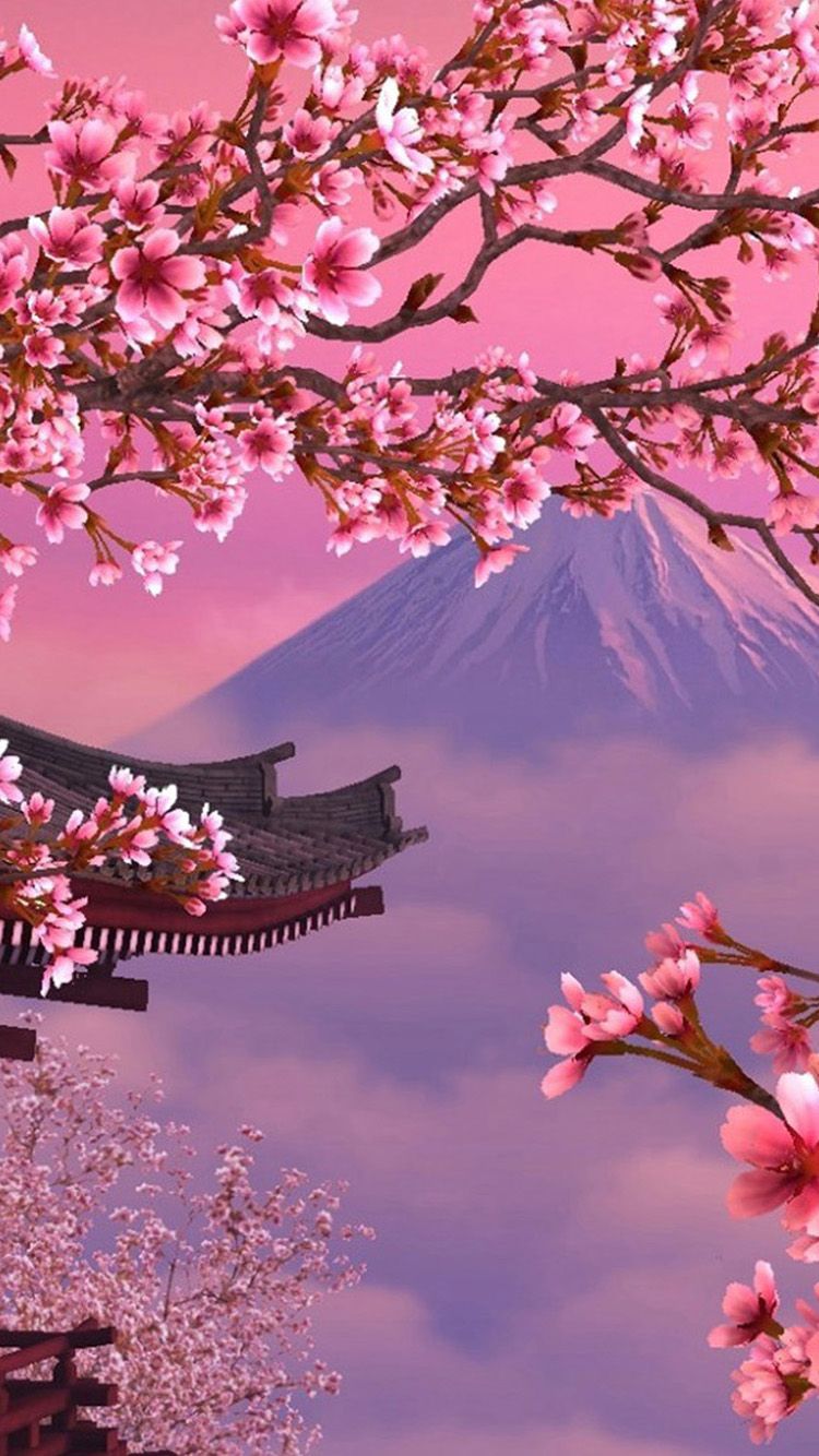 iPhone Cherry Blossom Wallpaper Free HD Wallpaper
