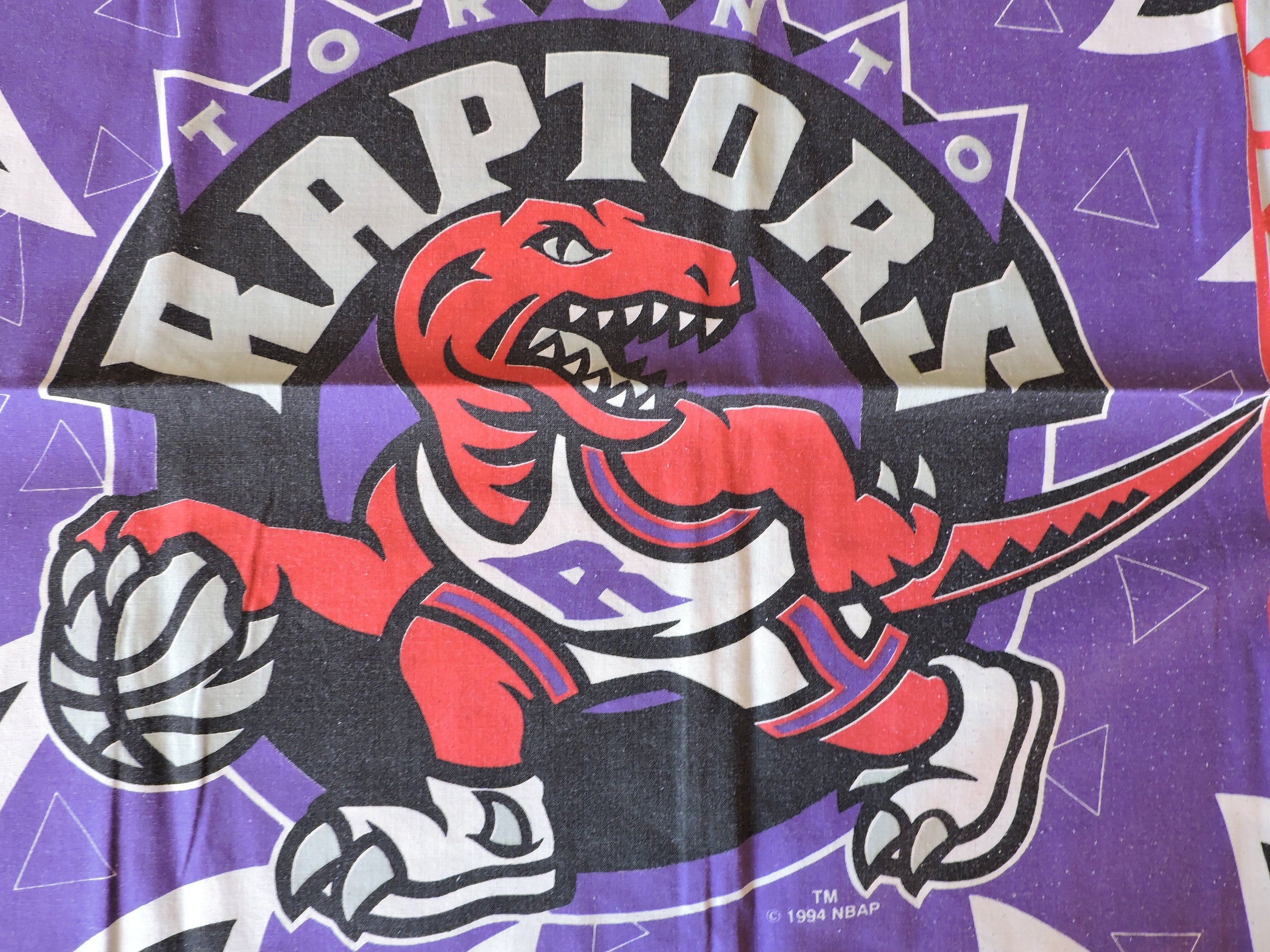 Toronto Raptors National Canadian Basketball Team Colors Symbol
