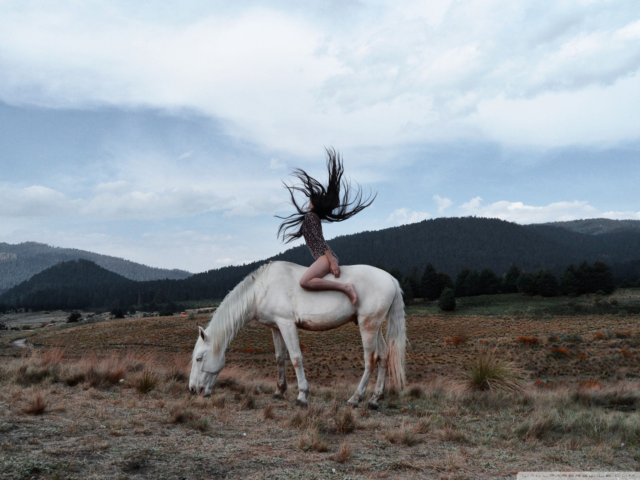 Woman, White Horse, Aesthetic Ultra HD Desktop Background
