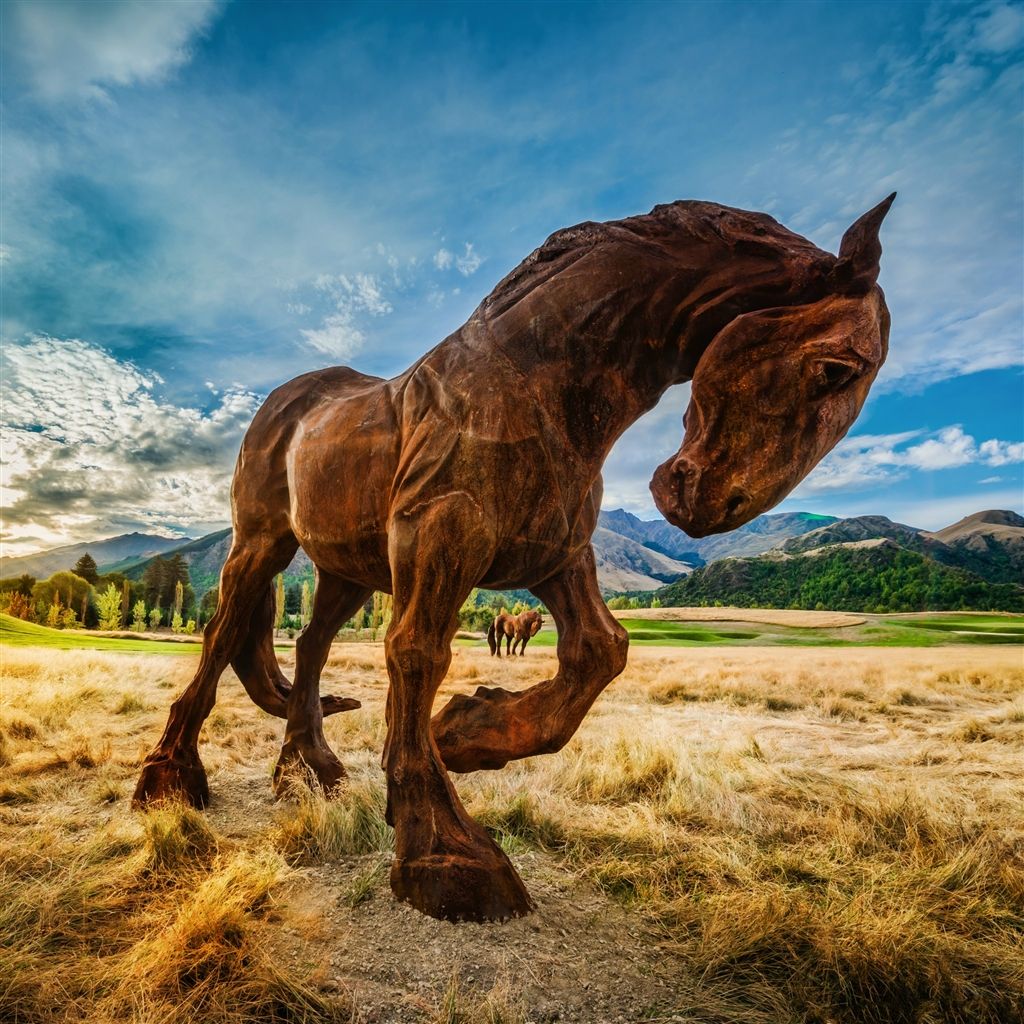 Wild Horse In Grassland iPad Air Wallpaper Free Download