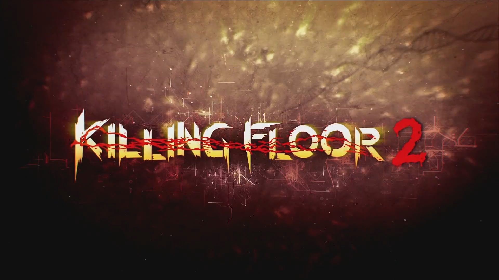 Killing Floor 2 HD Wallpaper. Background Imagex1080