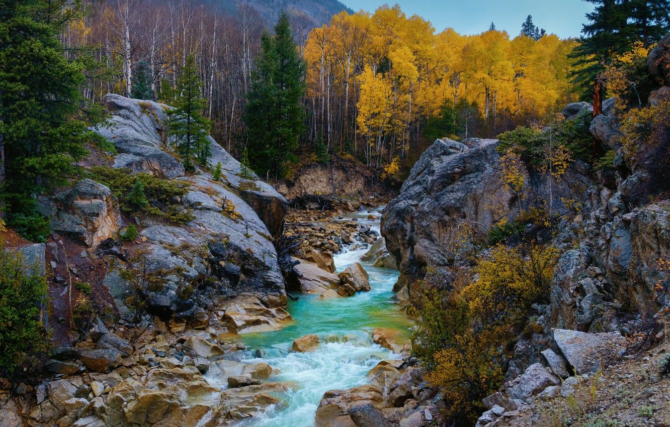 Wallpaper autumn, trees, river, stones, rocks, Colorado, Colorado