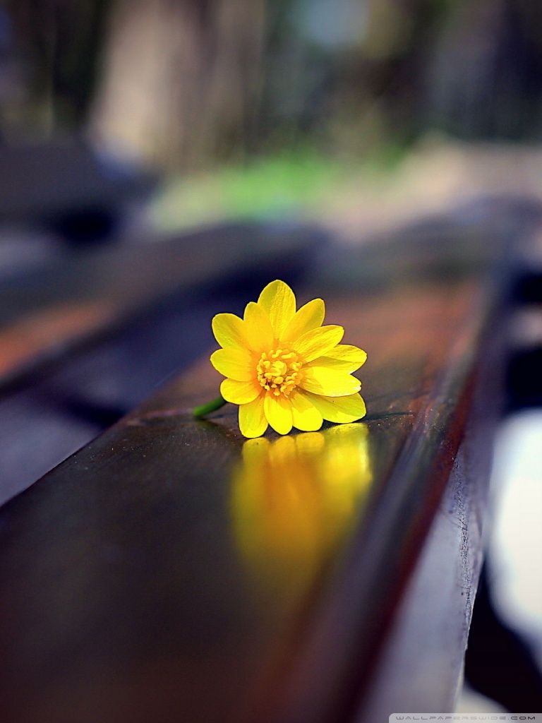 IPad 1 2 Mini Wallpaper Image For Mobile HD