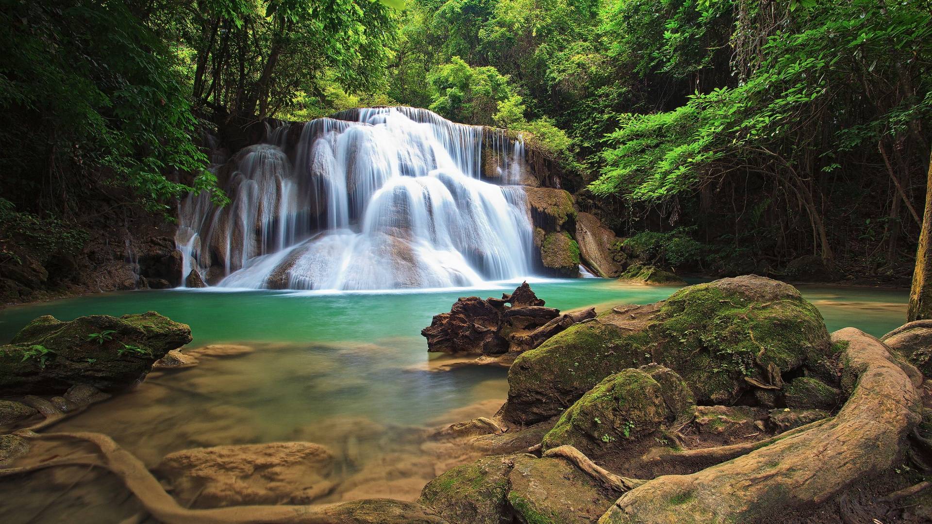 Forest Waterfall Wallpaper Free Forest Waterfall