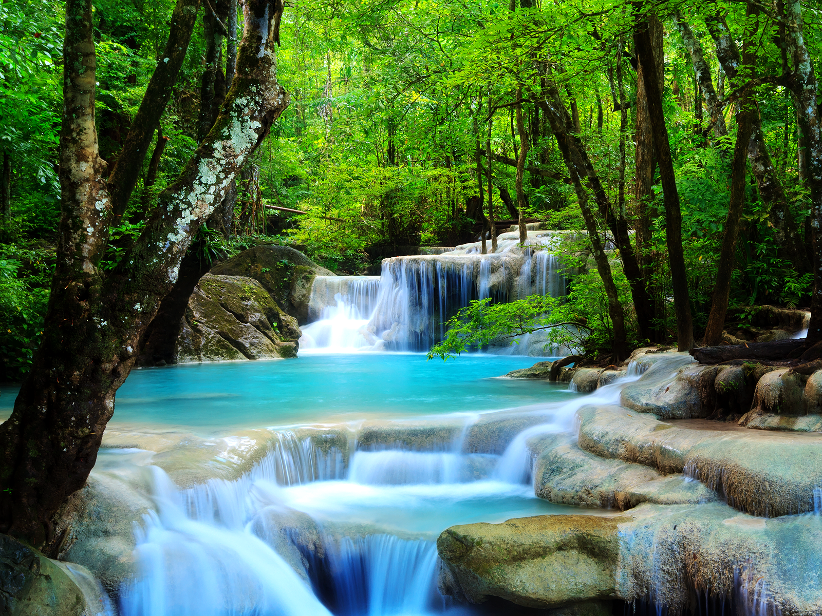 Forest Waterfall Wallpaper