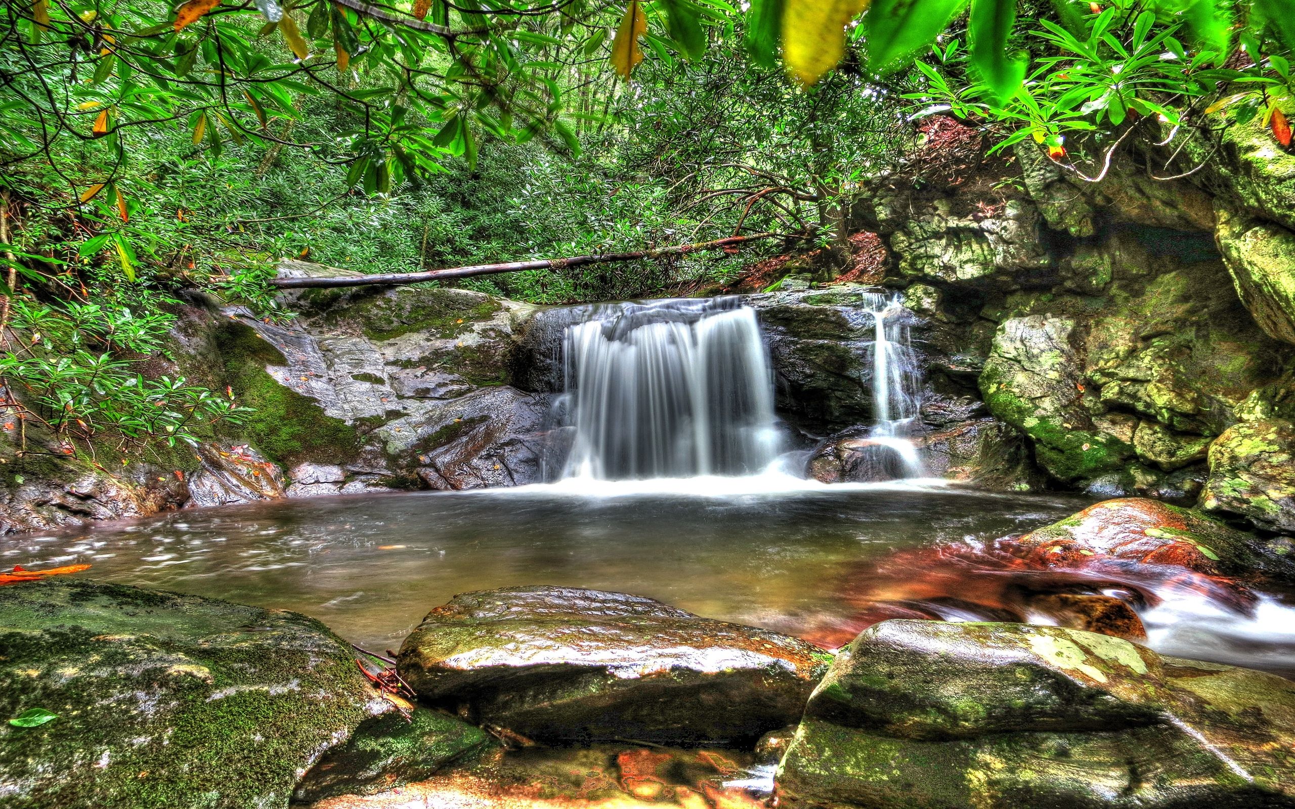 Forest Waterfall Desktop Background HD Wallpaper 06739 2560x1600