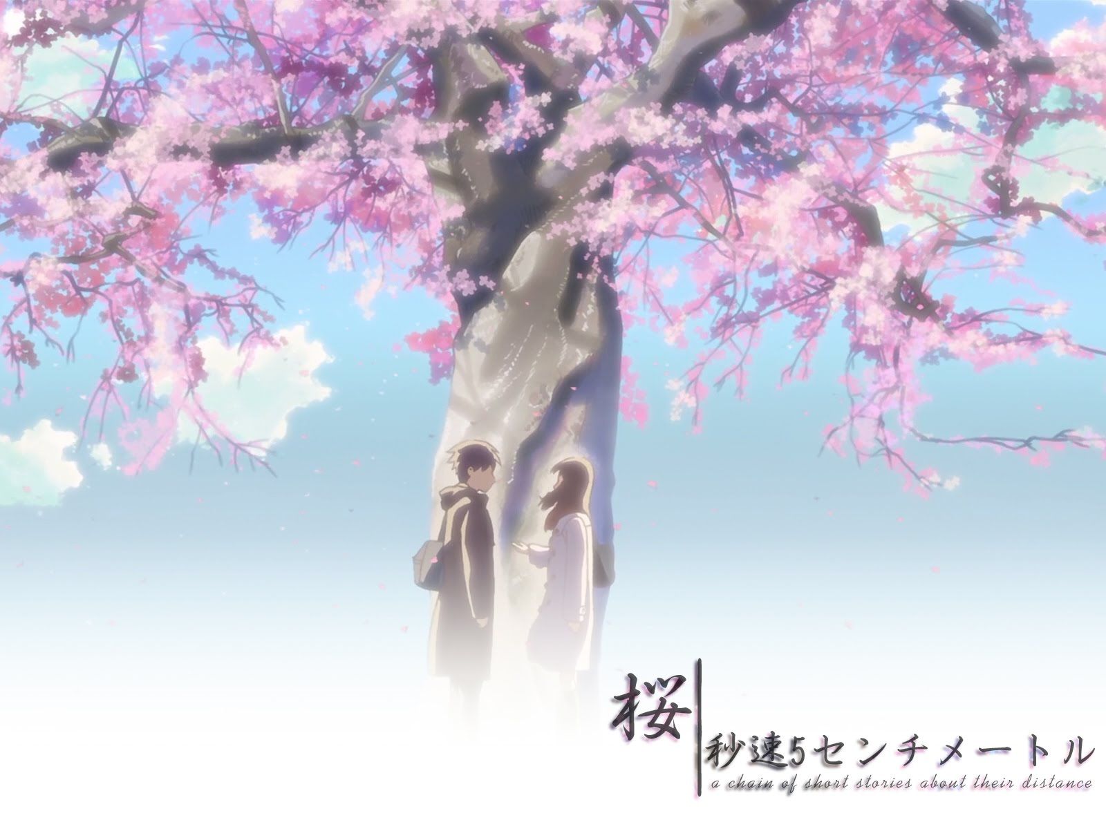 Anime Pc 5 Centimeters Per Second Wallpapers Wallpaper Cave