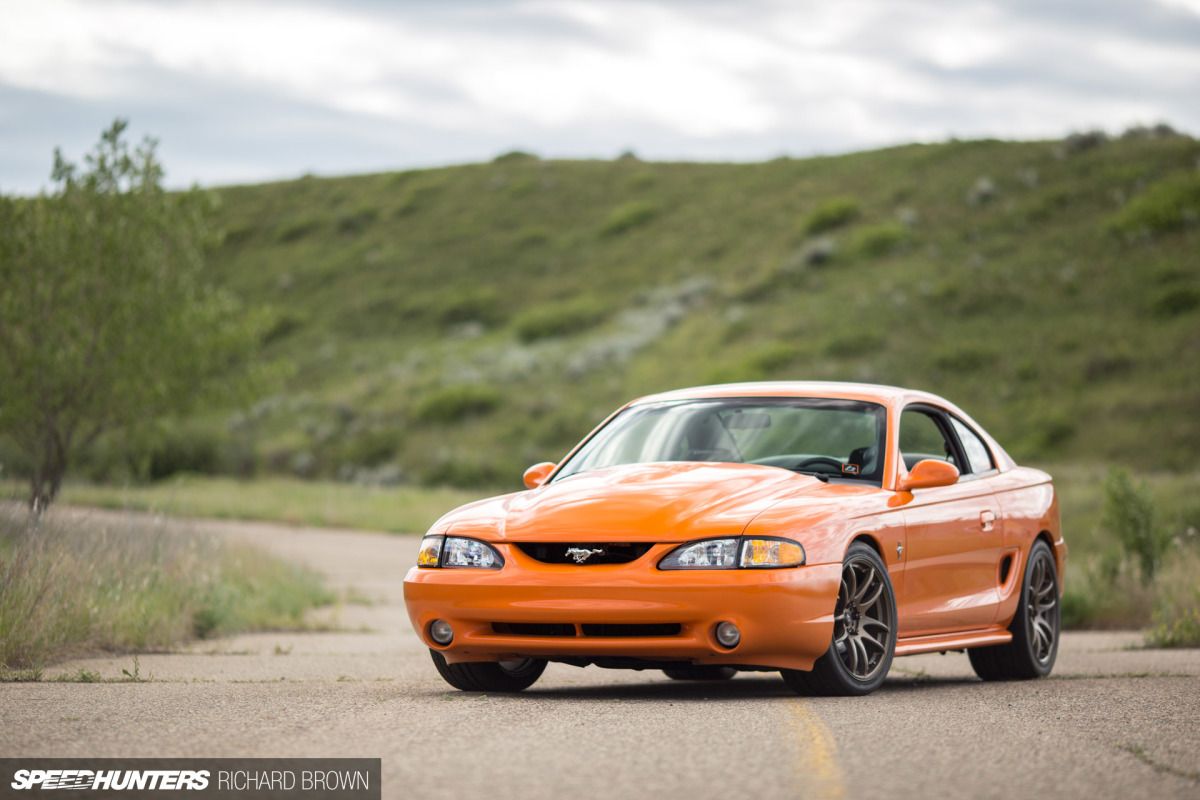 All Orange, No Pulp: A Different Kind Of Mustang