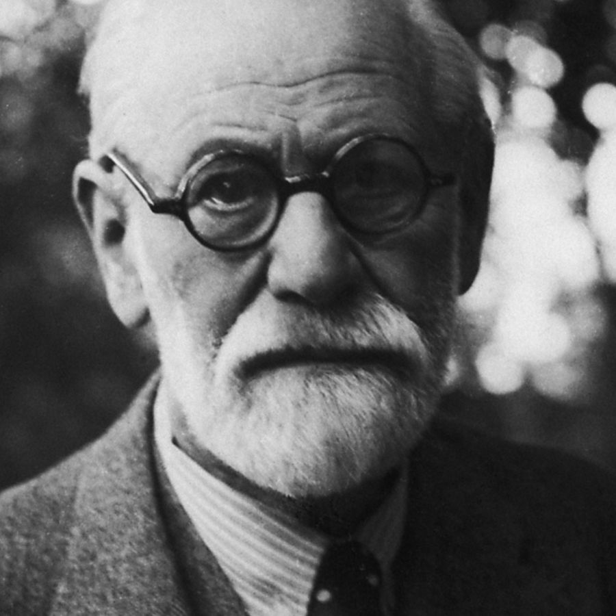 Why We Can Do What Absolutely Bewildered Sigmund Freud