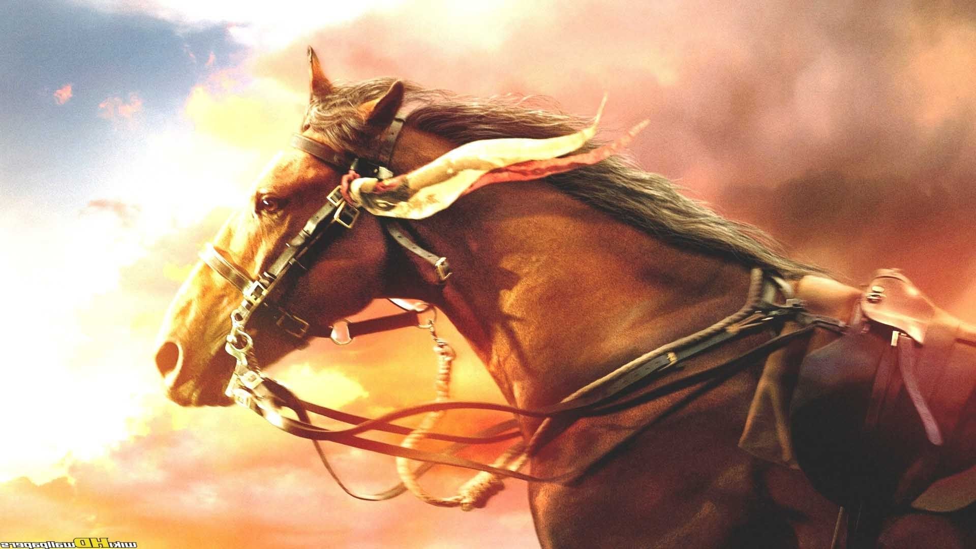 Free download War Horse Wallpaper and Background Image stmednet