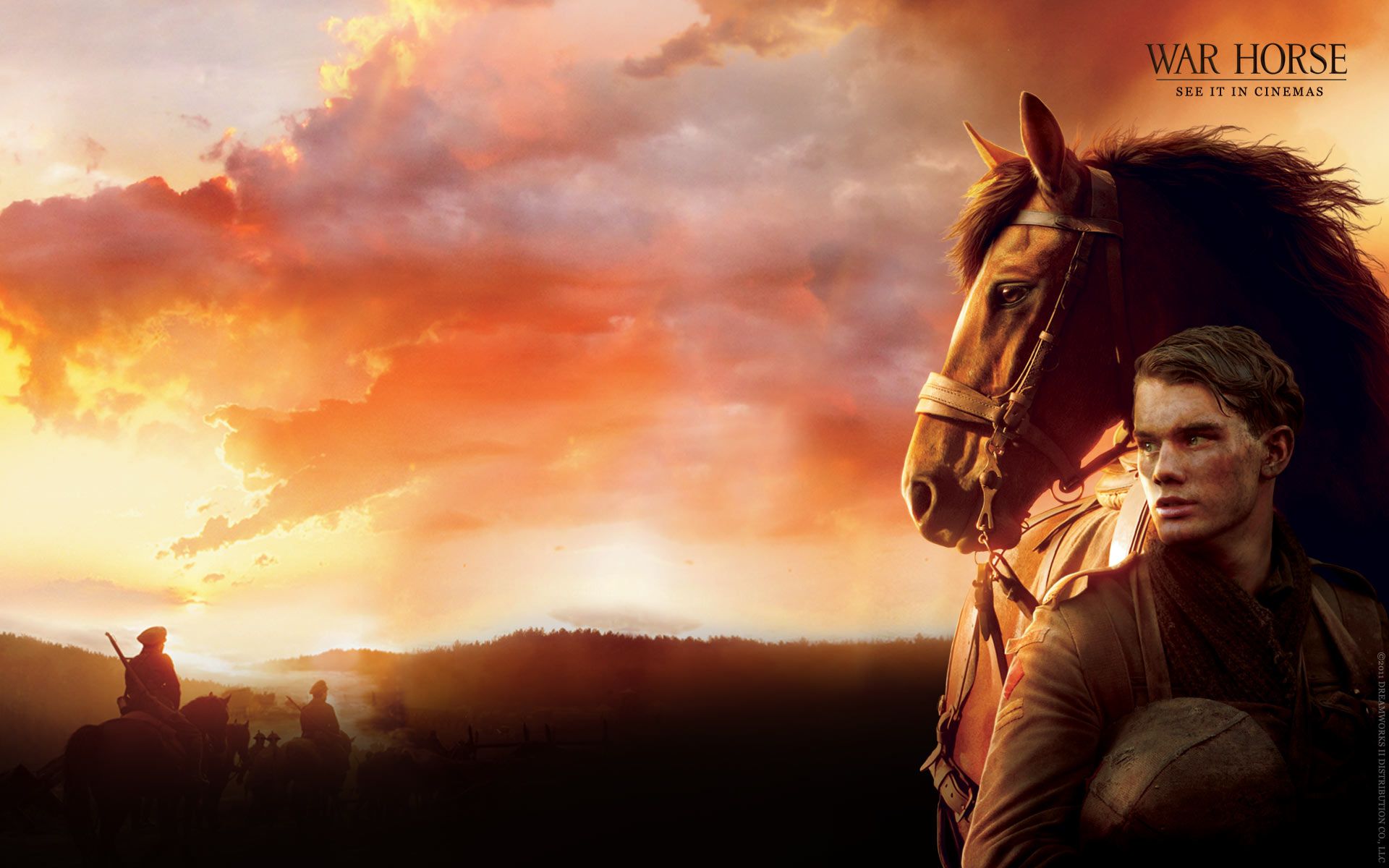 Warhorse Background. Warhorse Background