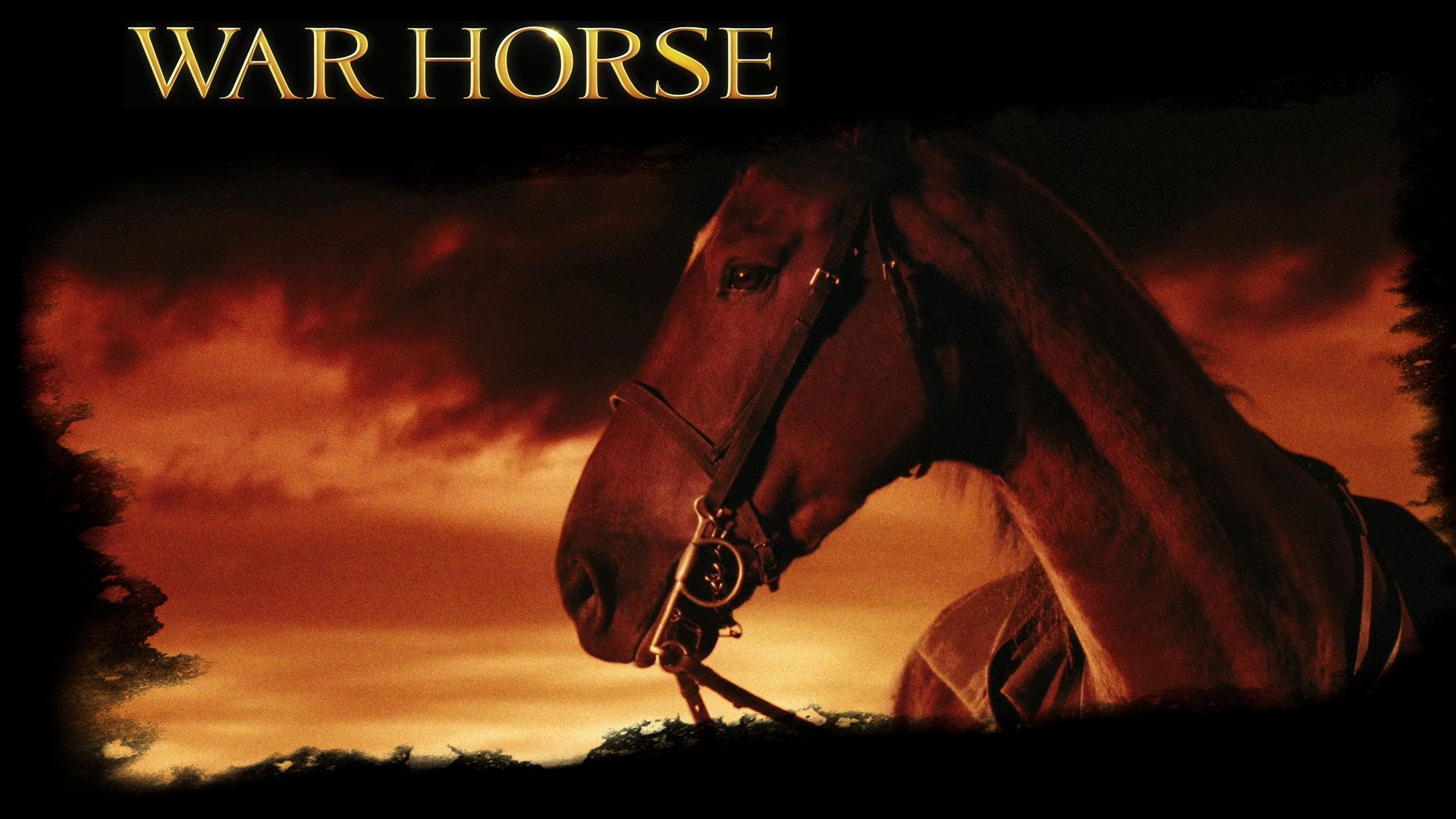 War Horse Horse The movie Wallpaper